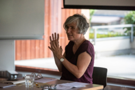 Translocal Performance Art Giswil