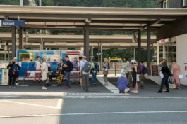 Translocal Performance Art Giswil