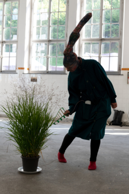 Translocal Performance Art Giswil