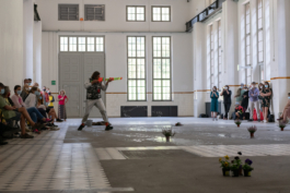 Translocal Performance Art Giswil