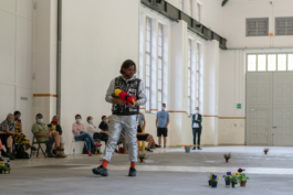 Translocal Performance Art Giswil