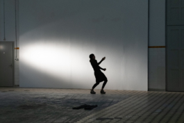 Translocal Performance Art Giswil