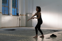 Translocal Performance Art Giswil