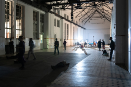 Translocal Performance Art Giswil