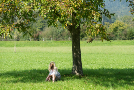 Translocal Performance Art Giswil