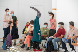 Translocal Performance Art Giswil