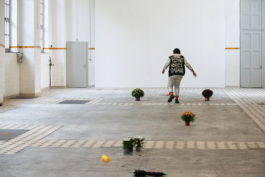 Translocal Performance Art Giswil