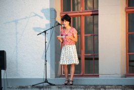 Translocal Performance Art Giswil