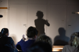 Translocal Performance Art Giswil