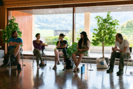 Translocal Performance Art Giswil