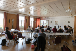 Translocal Performance Art Giswil