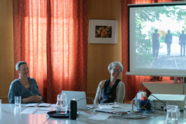 Translocal Performance Art Giswil