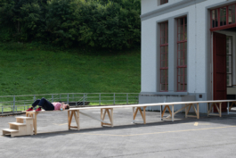 Translocal Performance Art Giswil