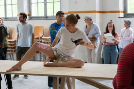 Translocal Performance Art Giswil