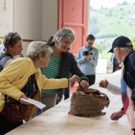 Translocal Performance Art Giswil