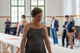 Translocal Performance Art Giswil