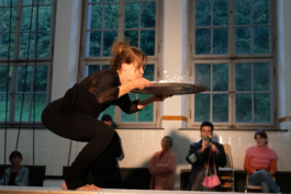 Translocal Performance Art Giswil