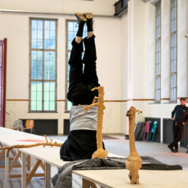 Translocal Performance Art Giswil