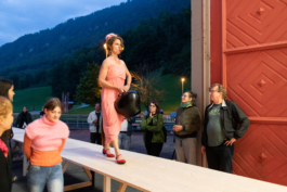 Translocal Performance Art Giswil