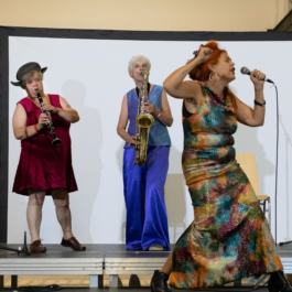 Translocal Performance Art Giswil