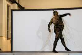 Translocal Performance Art Giswil