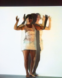 Translocal Performance Art Giswil