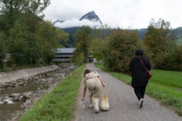 Translocal Performance Art Giswil