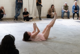 Translocal Performance Art Giswil