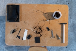 Translocal Performance Art Giswil