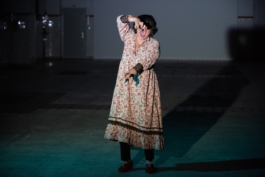 Translocal Performance Art Giswil