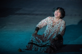 Translocal Performance Art Giswil