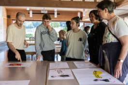 Translocal Performance Art Giswil