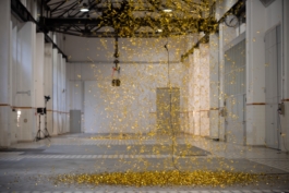 Translocal Performance Art Giswil