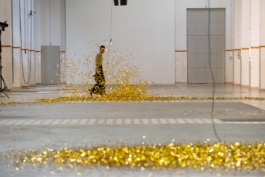 Translocal Performance Art Giswil