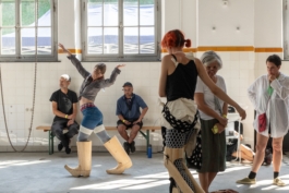 Translocal Performance Art Giswil