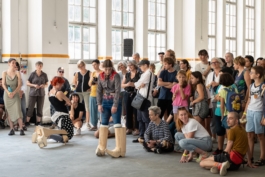 Translocal Performance Art Giswil