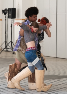 Translocal Performance Art Giswil