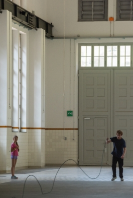 Translocal Performance Art Giswil