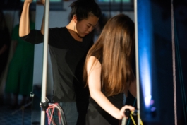 Translocal Performance Art Giswil