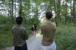 Translocal Performance Art Giswil