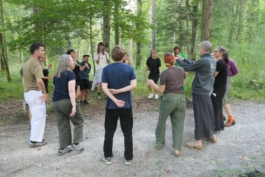 Translocal Performance Art Giswil