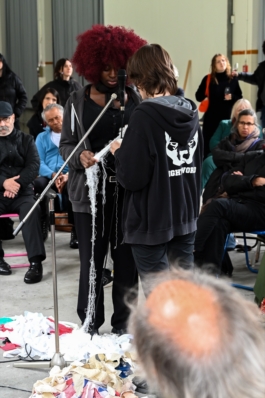 Translocal Performance Art Giswil