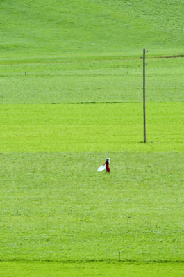 Translocal Performance Art Giswil