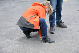 Translocal Performance Art Giswil