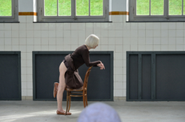 Translocal Performance Art Giswil