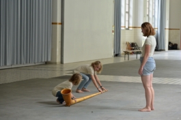 Translocal Performance Art Giswil