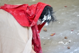 Translocal Performance Art Giswil