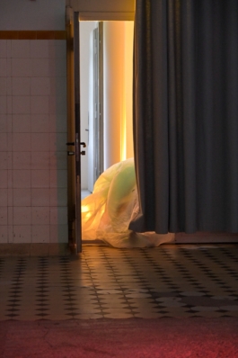 Translocal Performance Art Giswil