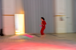 Translocal Performance Art Giswil