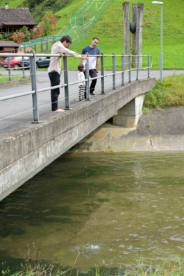 Translocal Performance Art Giswil